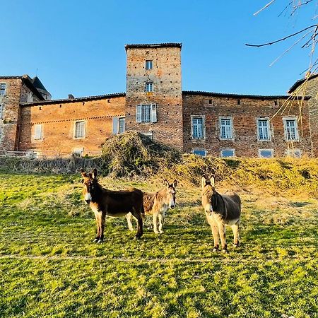 Chateau Du Montellier Le Montellier Exterior foto