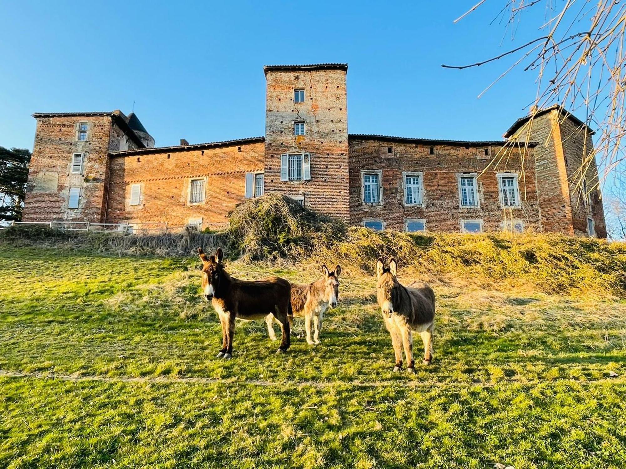 Chateau Du Montellier Le Montellier Exterior foto